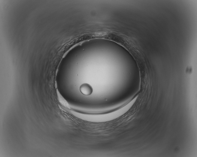 X0000112491441200908241314