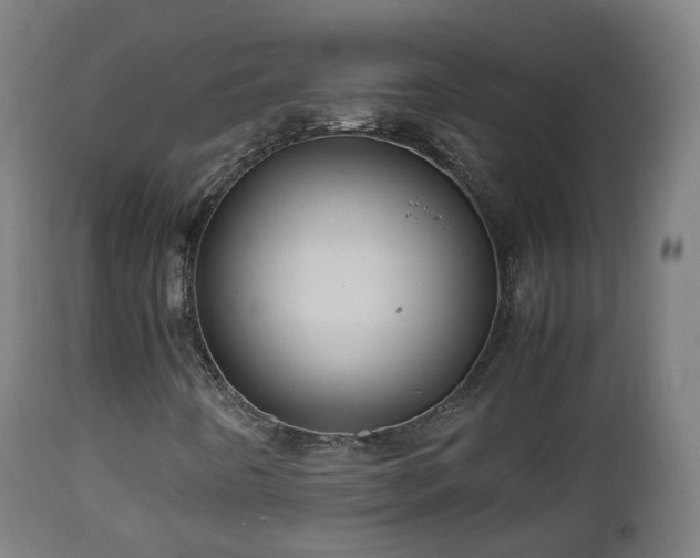 X0000112491442200908241314
