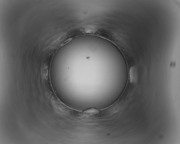 X0000112491443200908241314