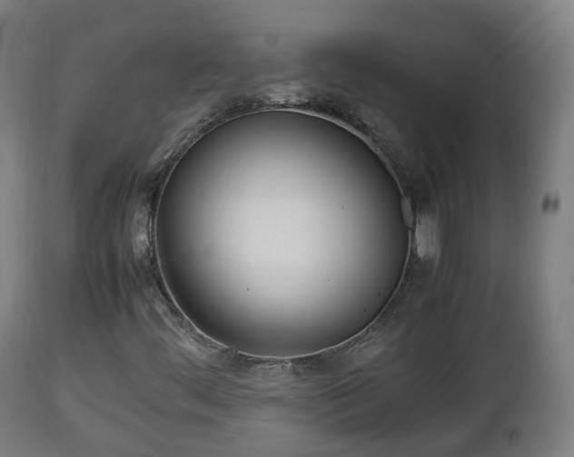X0000112491444200908241314