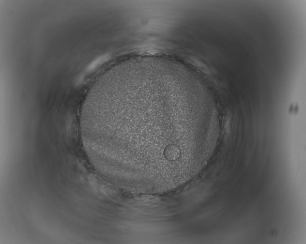 X0000112491446200908241314