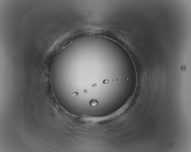 X0000112491447200908241314