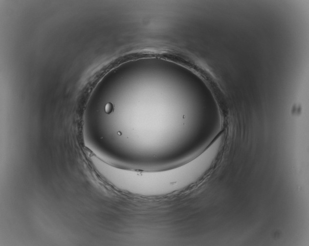 X0000112491448200908241314