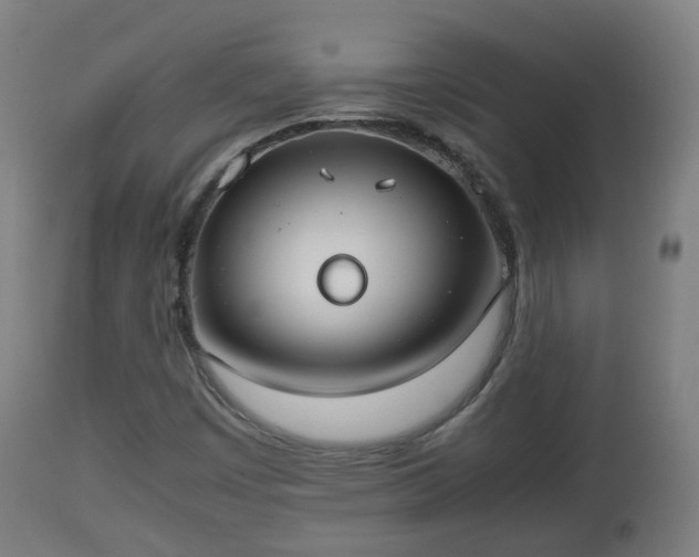X0000112491449200908241314