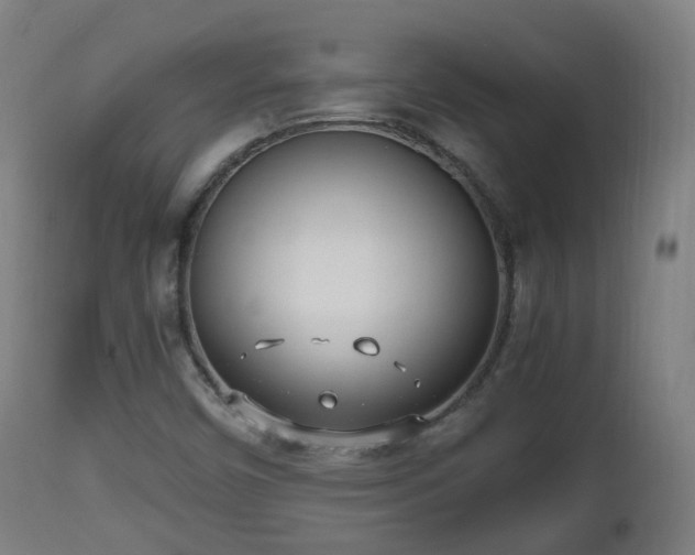 X0000112491450200908241314