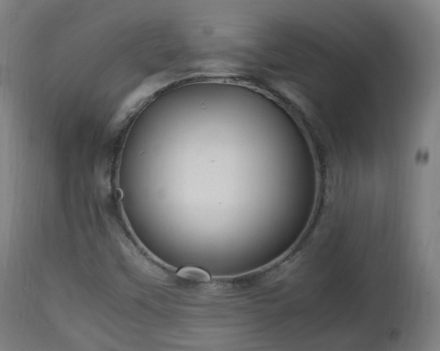 X0000112491451200908241314