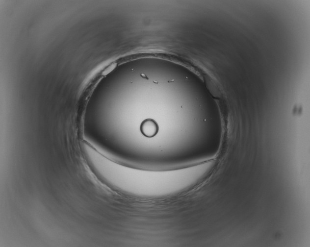X0000112491452200908241314
