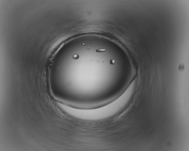 X0000112491453200908241314