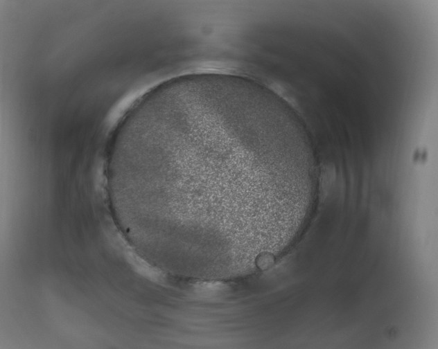 X0000112491454200908241314