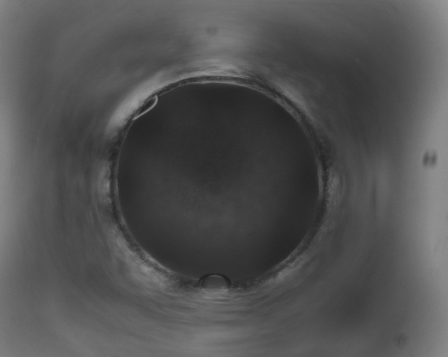 X0000112491455200908241314
