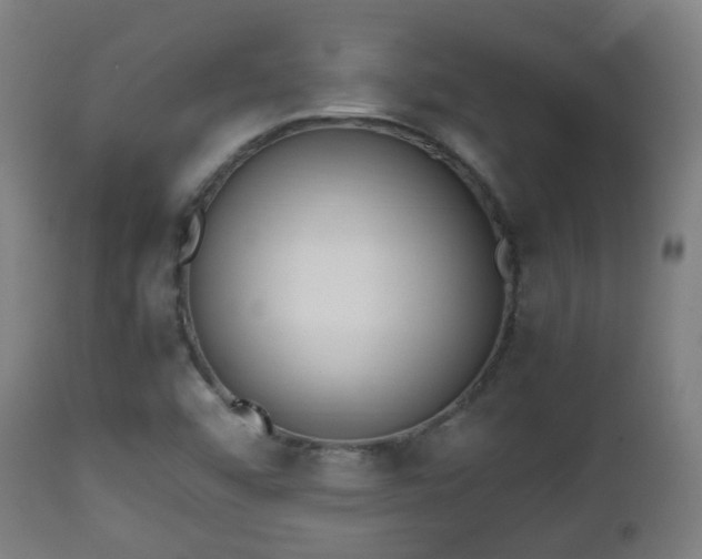 X0000112491456200908241314
