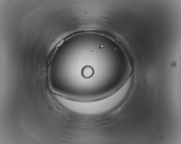 X0000112491457200908241314