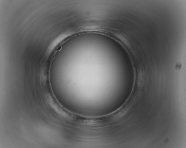 X0000112491458200908241314