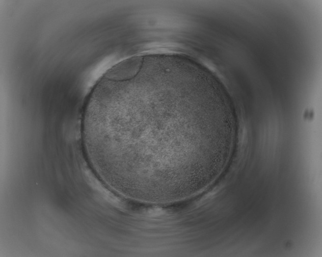 X0000112491459200908241314