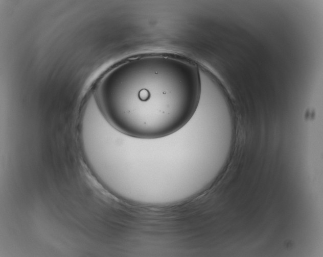 X0000112491460200908241314