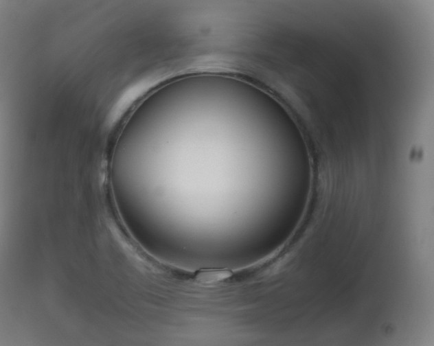 X0000112491461200908241314