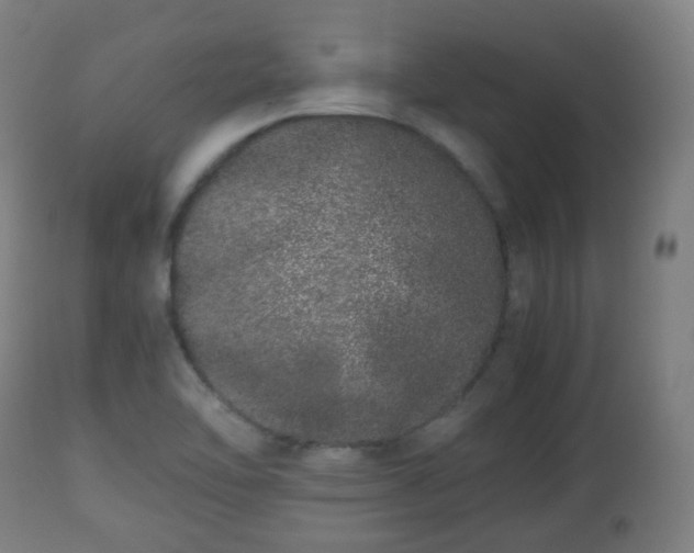 X0000112491462200908241314