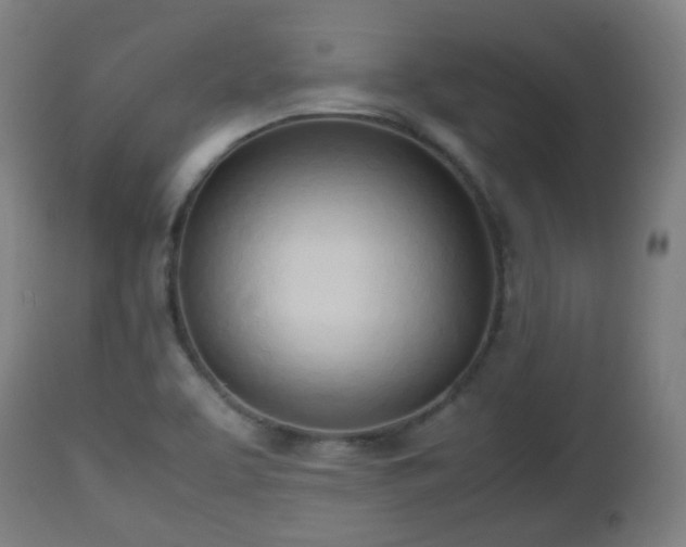 X0000112491463200908241314