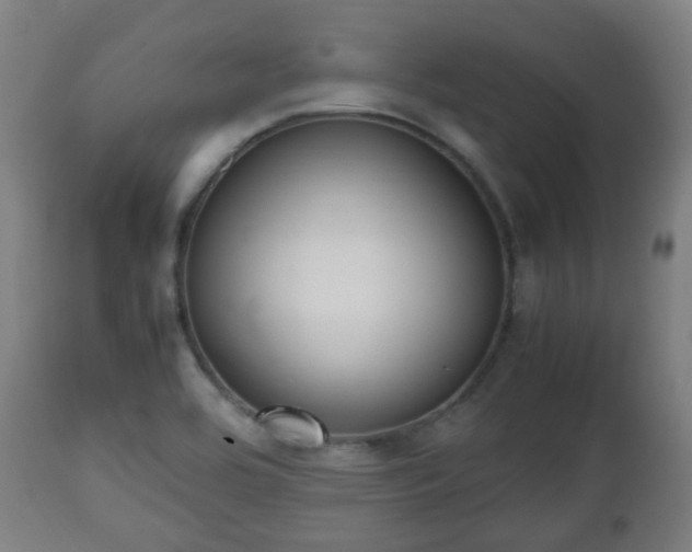 X0000112491464200908241314
