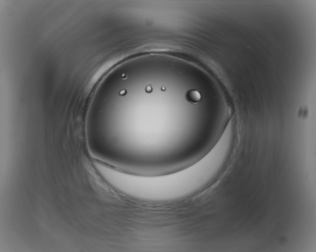 X0000112491465200908241314