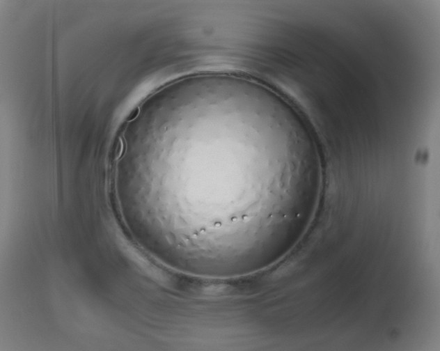 X0000112491467200908241314