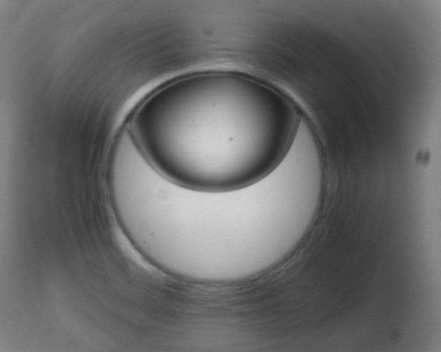 X0000112491468200908241314
