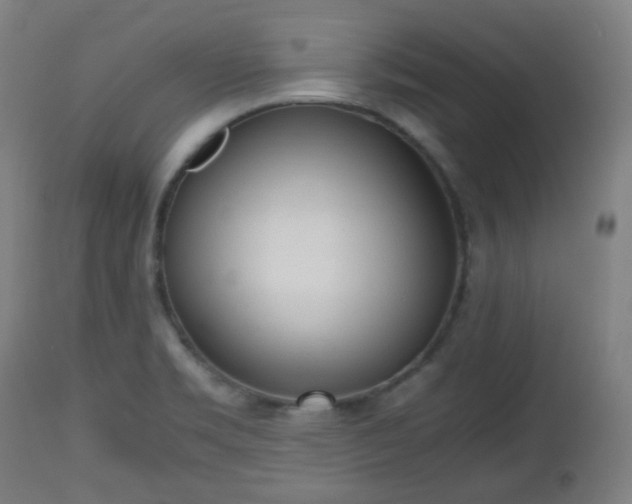 X0000112491469200908241314