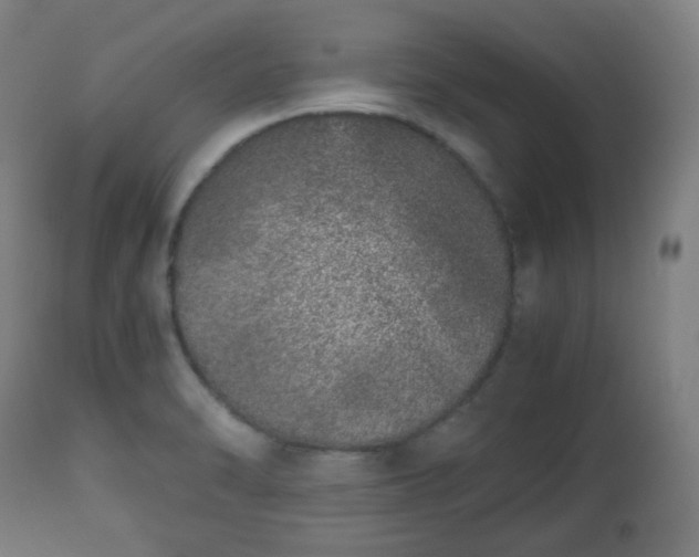 X0000112491470200908241314