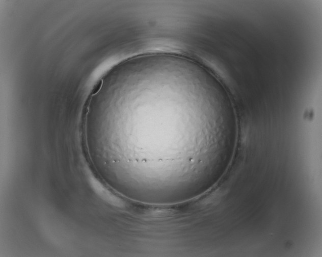 X0000112491471200908241314