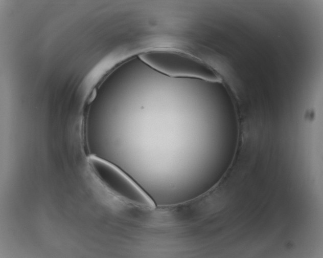 X0000112491472200908241314