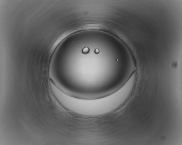 X0000112491473200908241314