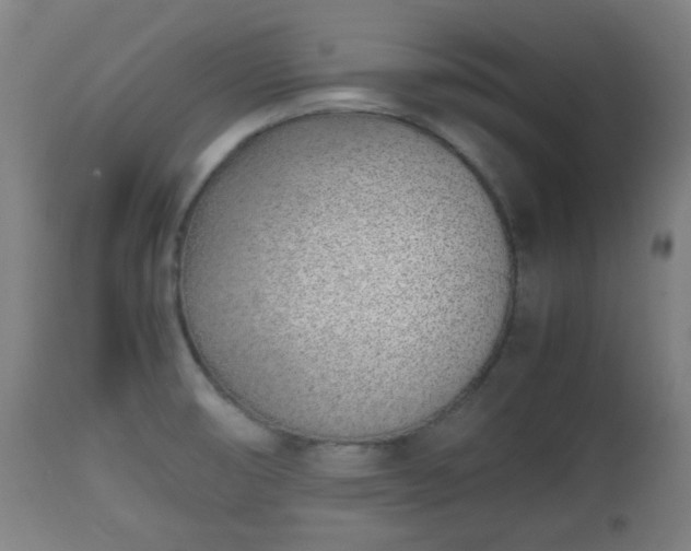 X0000112491474200908241314