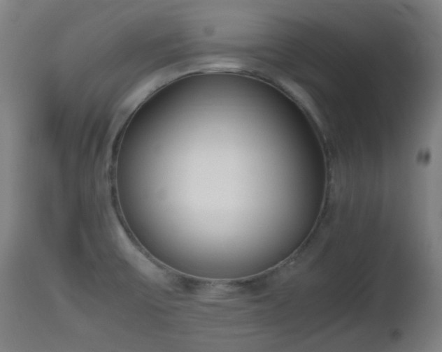 X0000112491475200908241314