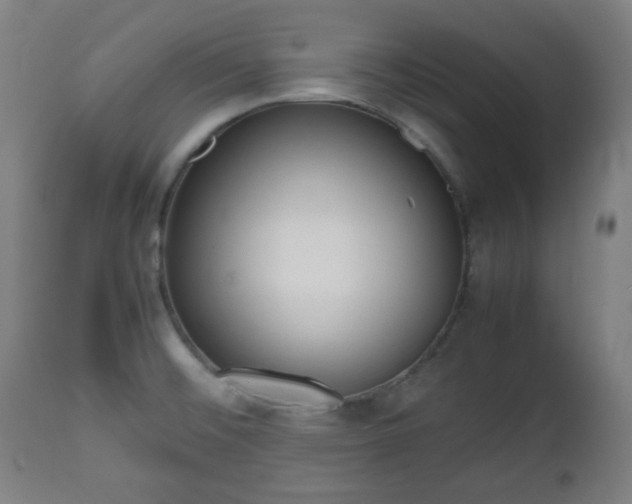 X0000112491476200908241314