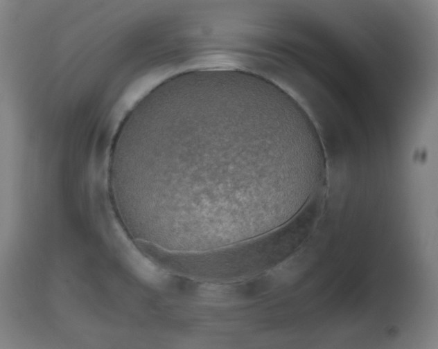 X0000112491477200908241314