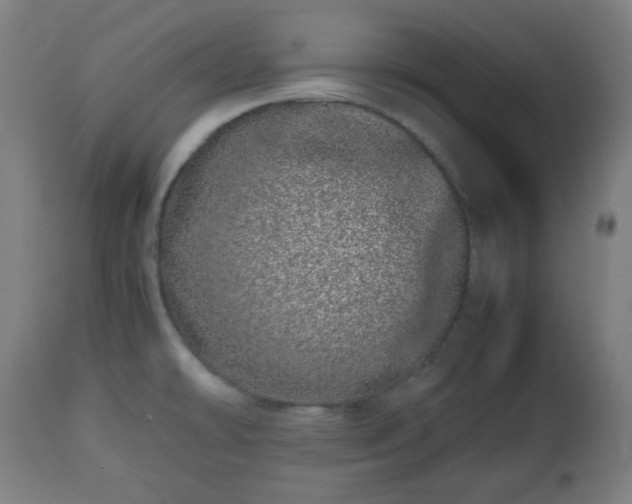 X0000112491478200908241314
