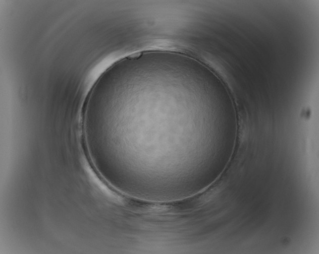 X0000112491479200908241314