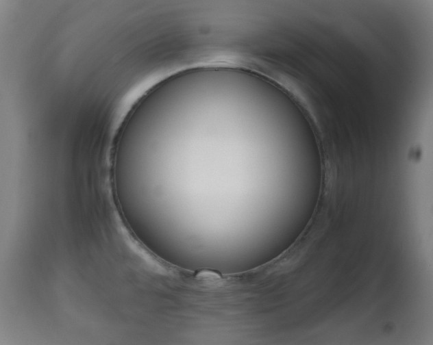 X0000112491480200908241314