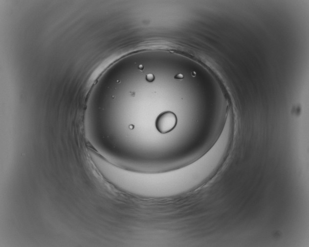 X0000112491481200908241314
