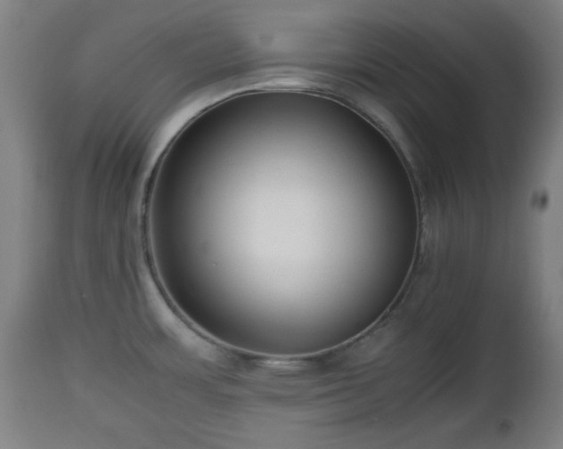 X0000112491483200908241313