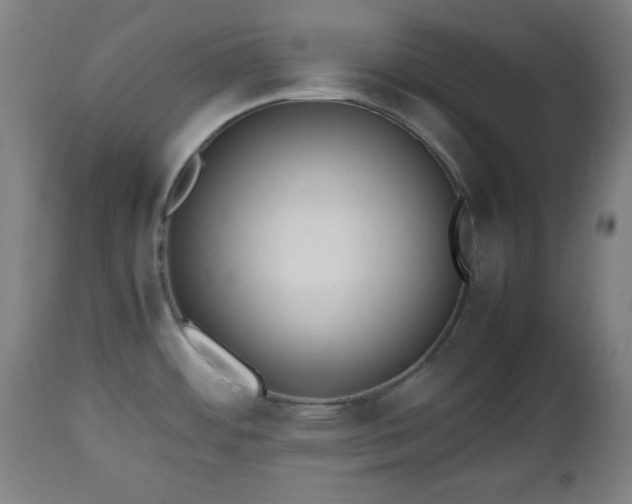 X0000112491484200908241313