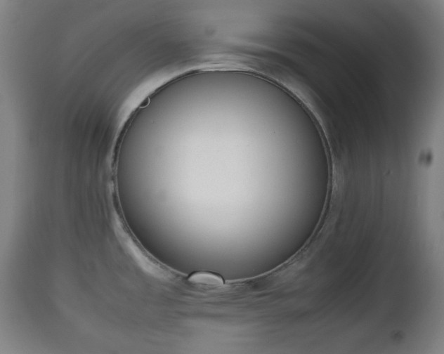 X0000112491485200908241313