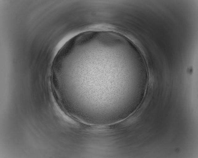 X0000112491486200908241313