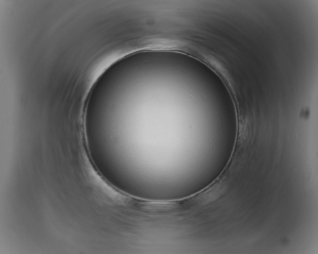 X0000112491487200908241313