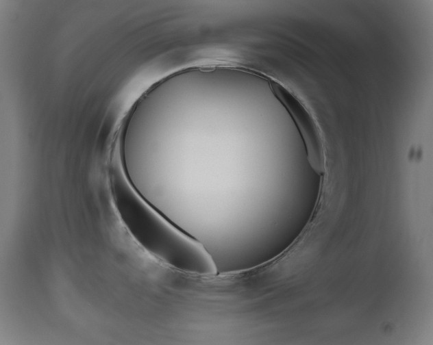 X0000112491488200908241313