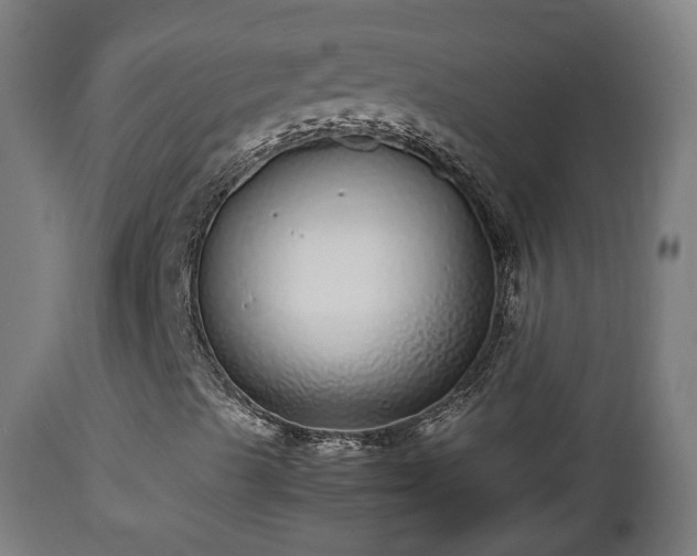 X0000112491489200908241313