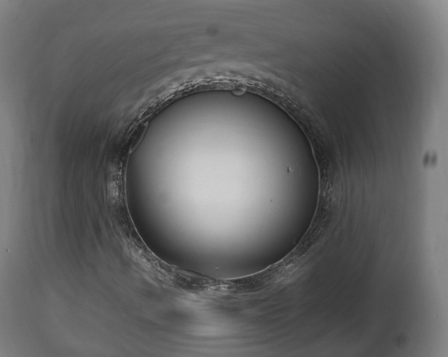 X0000112491490200908241313