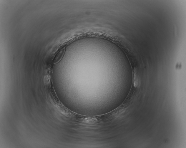 X0000112491491200908241313