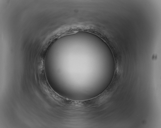 X0000112491492200908241313