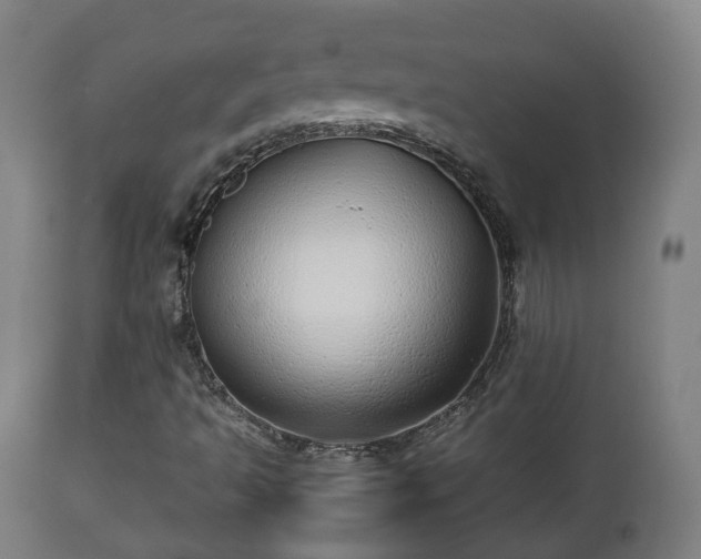 X0000112491493200908241313